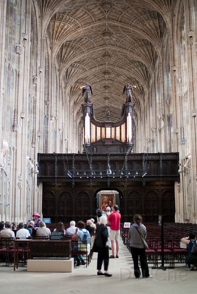 Ed -L1006795.jpg